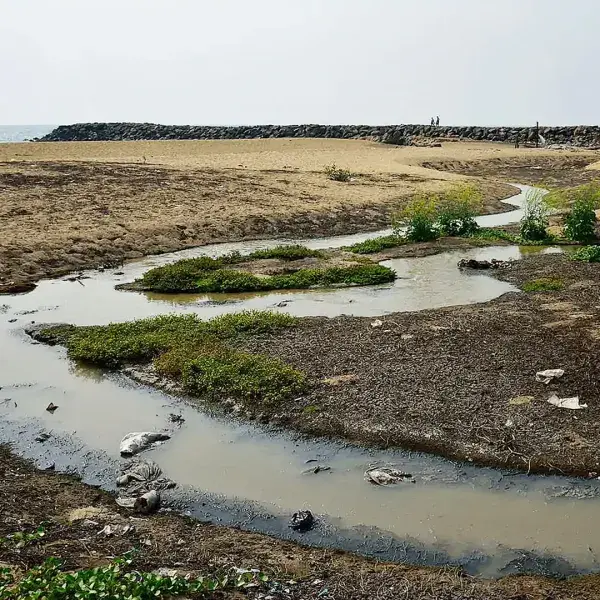 ADYAR MASTER PLAN