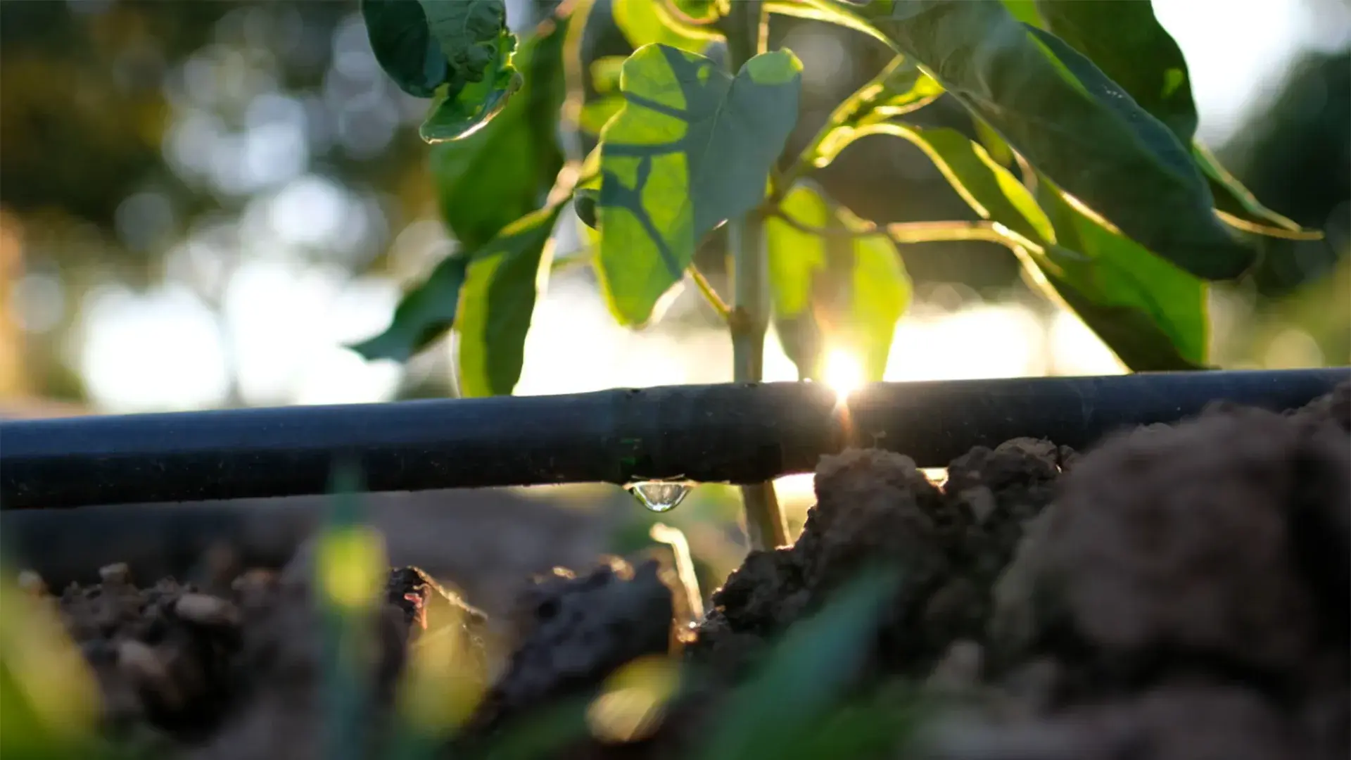 KREAN_Consorcio_Aguas_Bilbao_Bizkaia_Reutilización_Aguas_Residuales